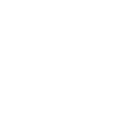 The Zelda Awards